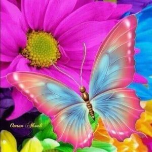 Meet your Posher, Diana